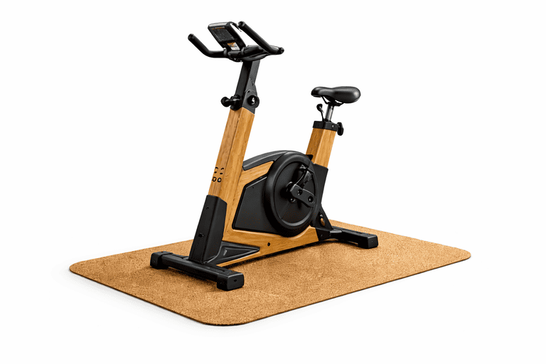 EcoMotion Gear Bicycle