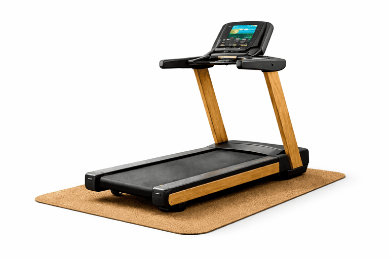 EcoMotion Gear Treadmill